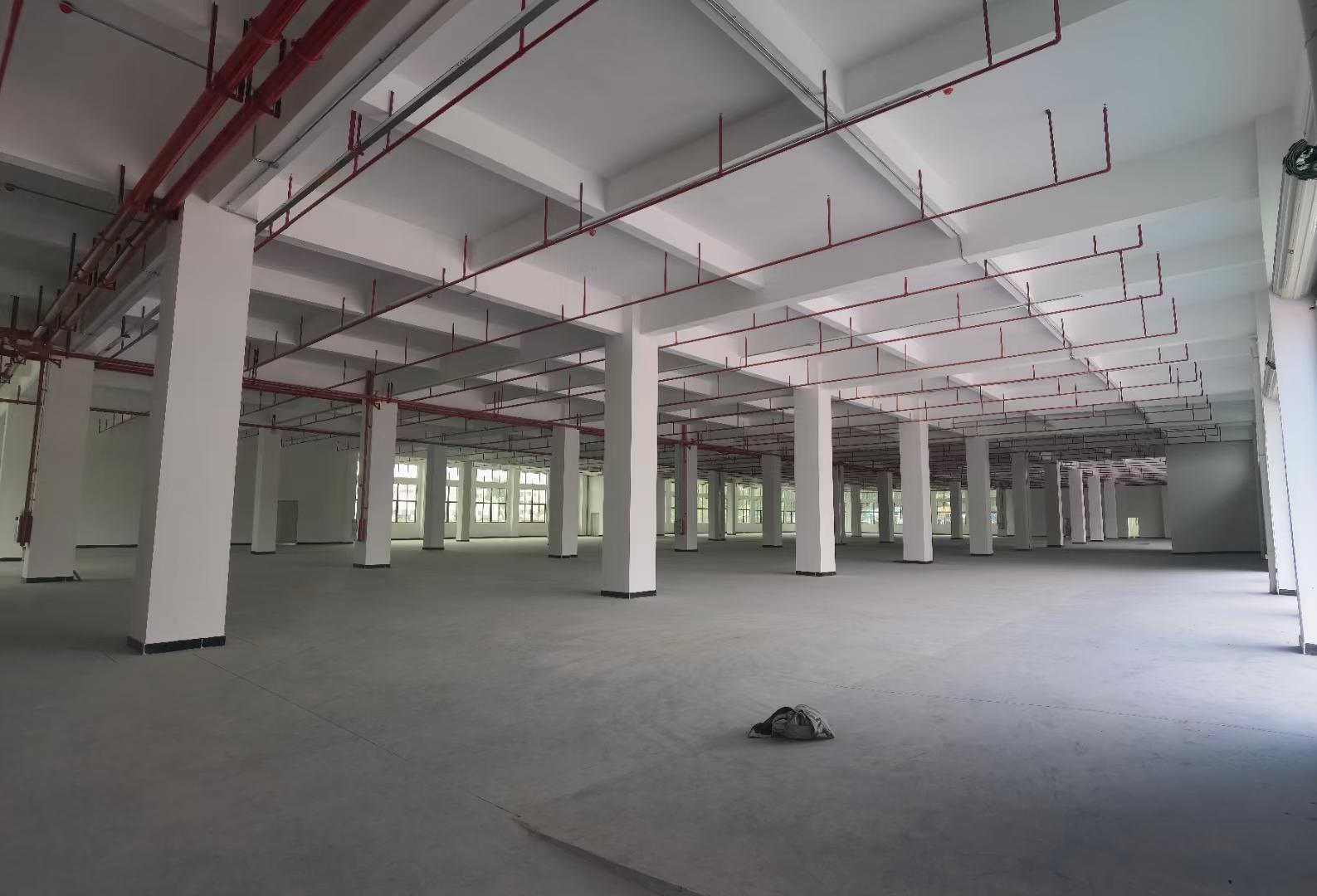 长安上沙全新红本重工业一楼6.5米高证件齐全可分租